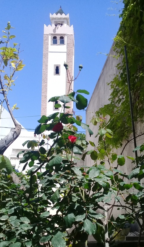 Tabarka Tabarka Location vacances Maisons Vacance d't  tabarka