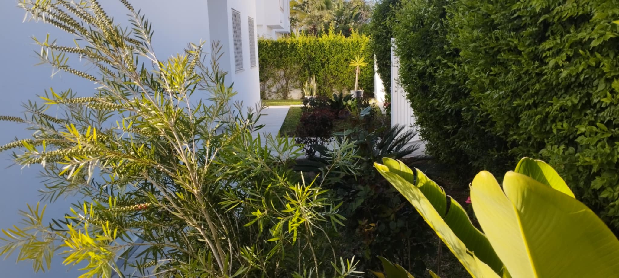 Location vacances Maisons - Tunisie