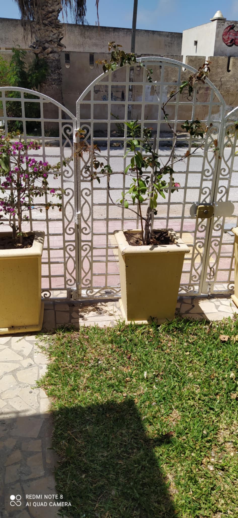 Location vacances Maisons - Tunisie