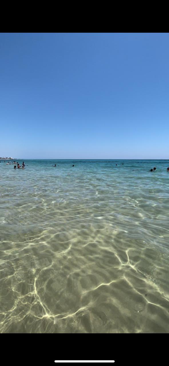 Hammamet Hammamet Location vacances Appart. 1 pice Appartement hammamet pour vacances