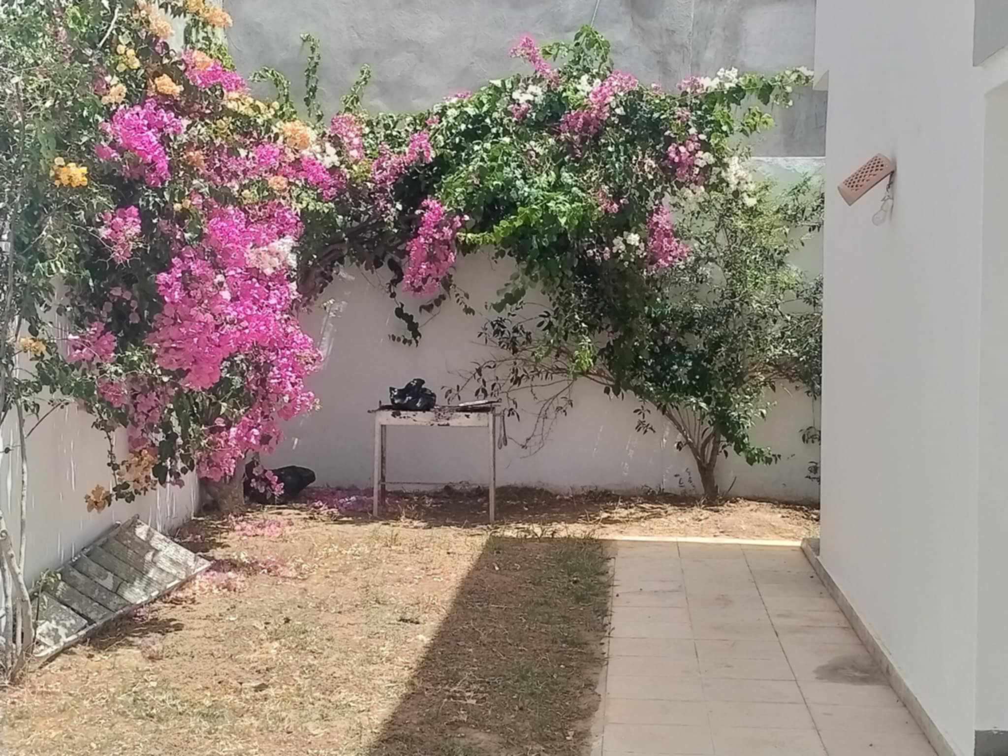 Hammamet Bir Bouregba Location vacances Maisons Maison  hammamet