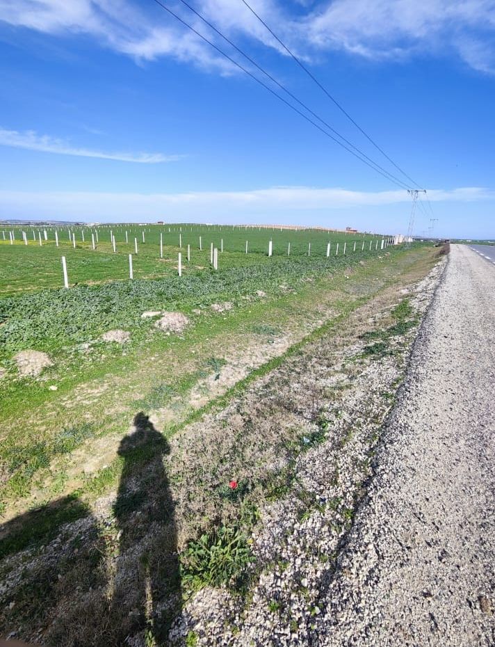 Mornaguia El Fejja Terrain Terrain nu Terrain el fejja prix unique