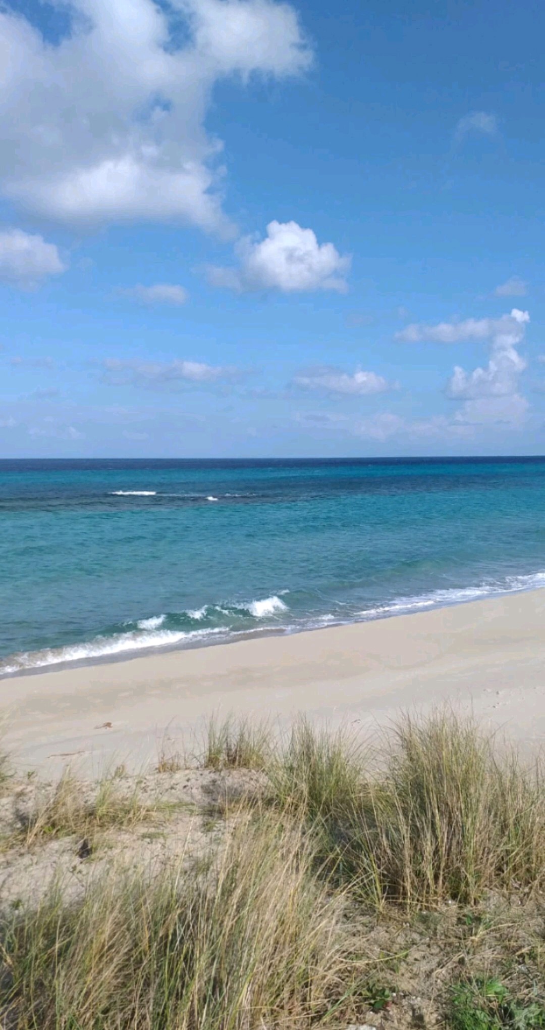 Kelibia Dar Allouche Terrain Terrain nu Terrain pas loin de la plage dar allouch