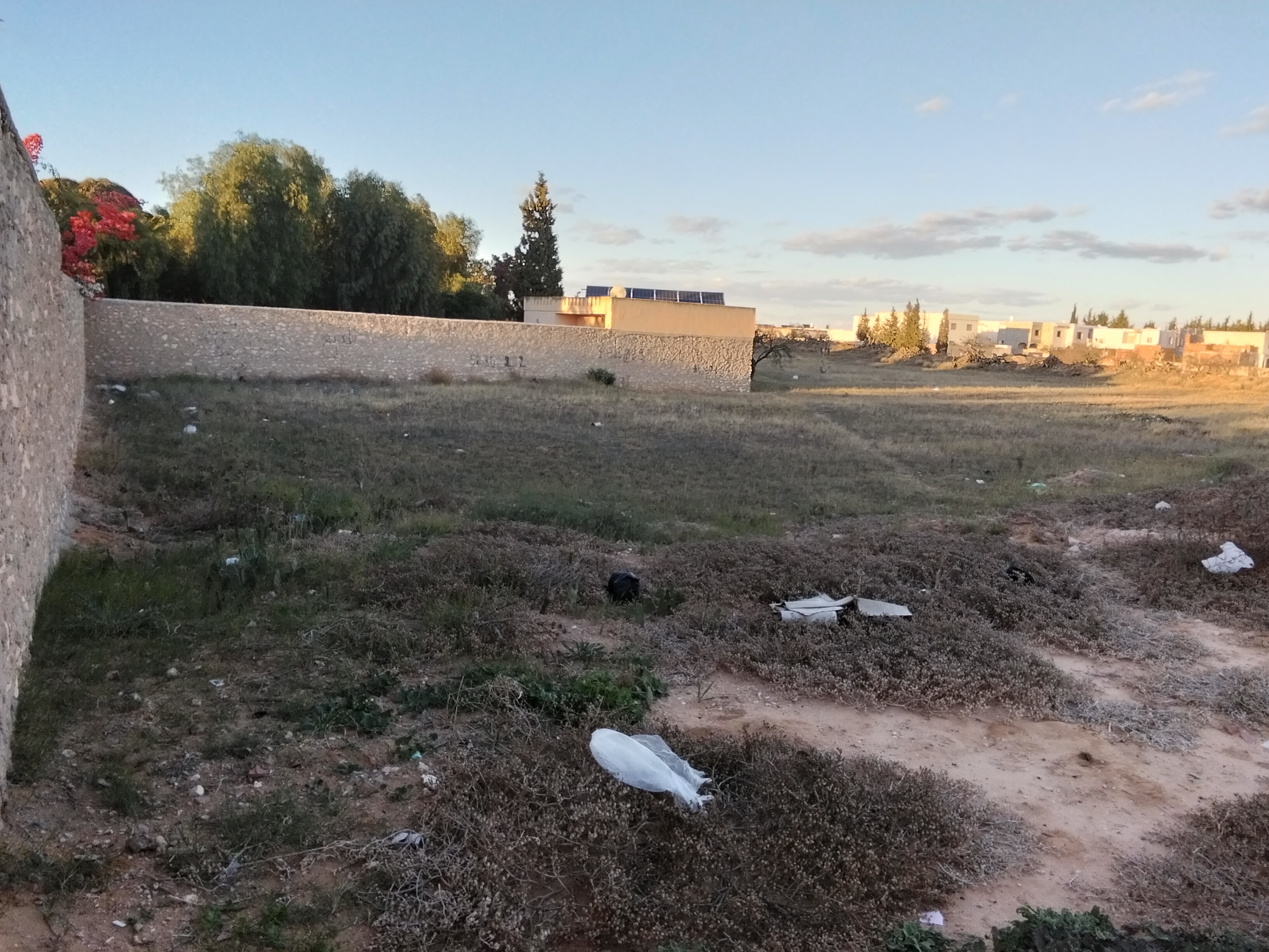 Sfax Sud Merkez Aloui Terrain Terrain nu Terrain el ain km 8 sfax