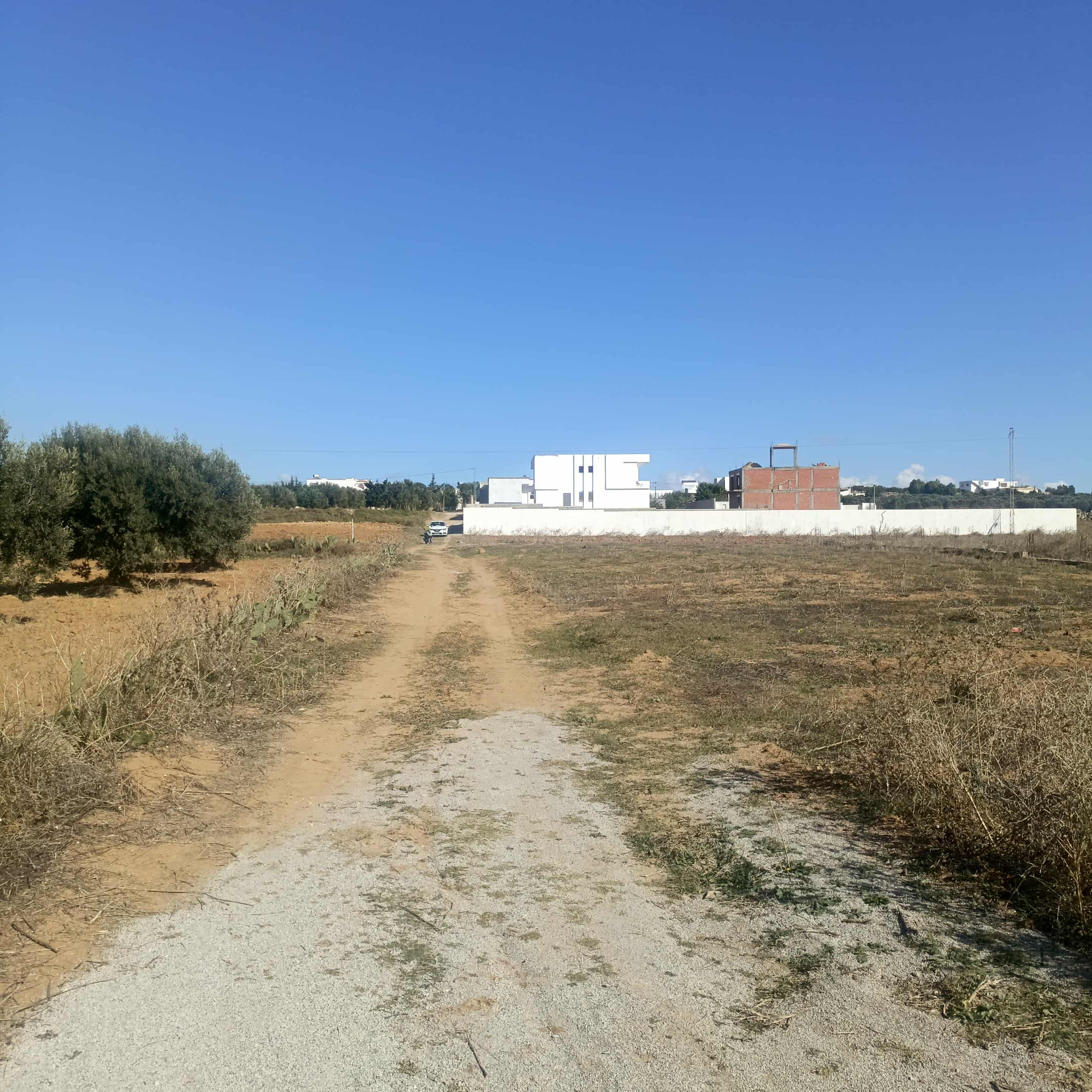 Hammamet Hammamet Terrain Terrain nu Av 400m monchar hammamet sud