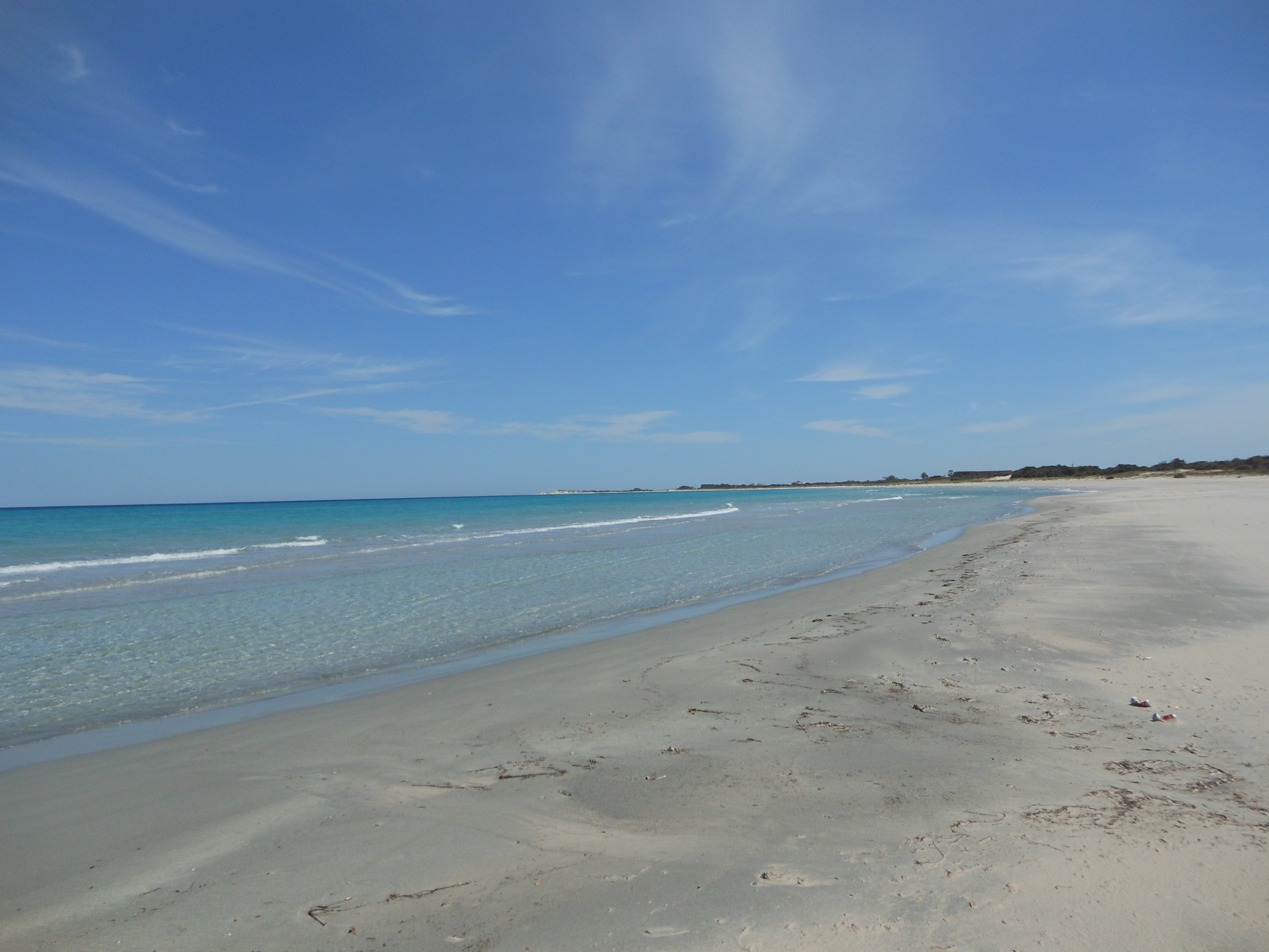 Hammam El Ghezaz Hammam Jebli Terrain Terrain nu Un terrain de 1 ha prs hammam jebli