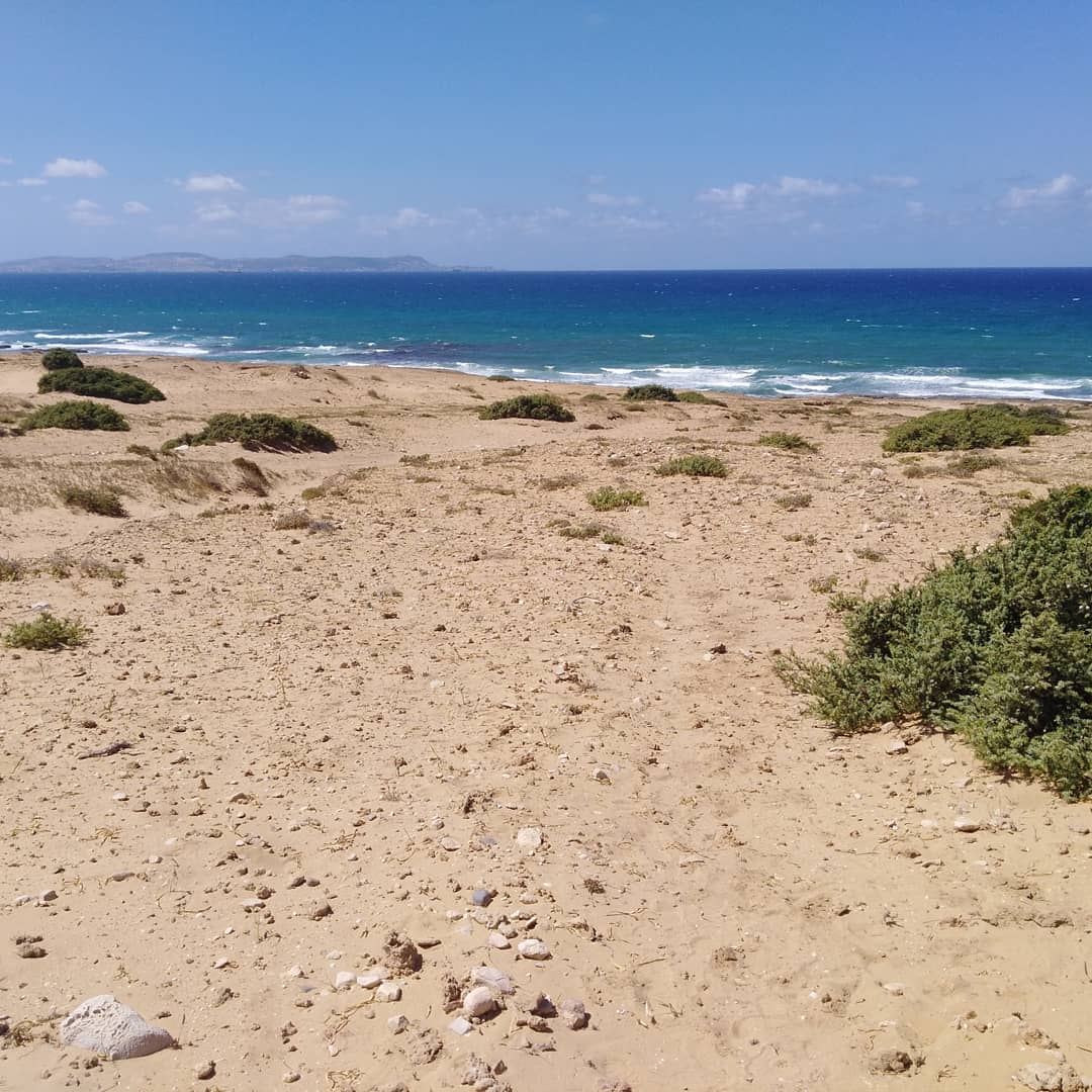 Ras Jebel&nbsp;Metline&nbsp;Vente&nbsp;Surfaces&nbsp;A partir de1000 m vue mer