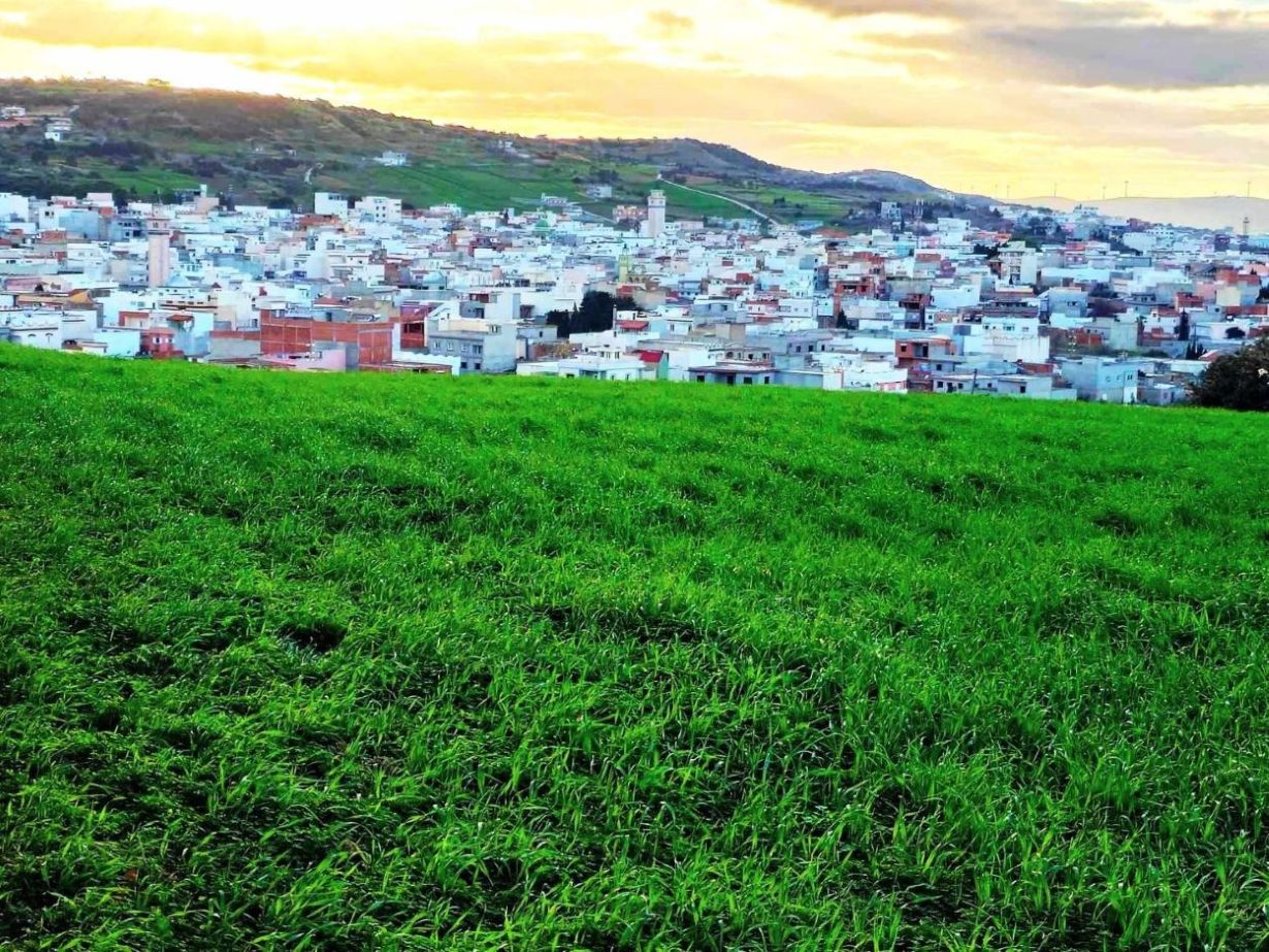 Ras Jebel&nbsp;Rafraf&nbsp;Terrain&nbsp;Terrain nu&nbsp;Terrain 2700 a rafraf entre r�ve et investissement