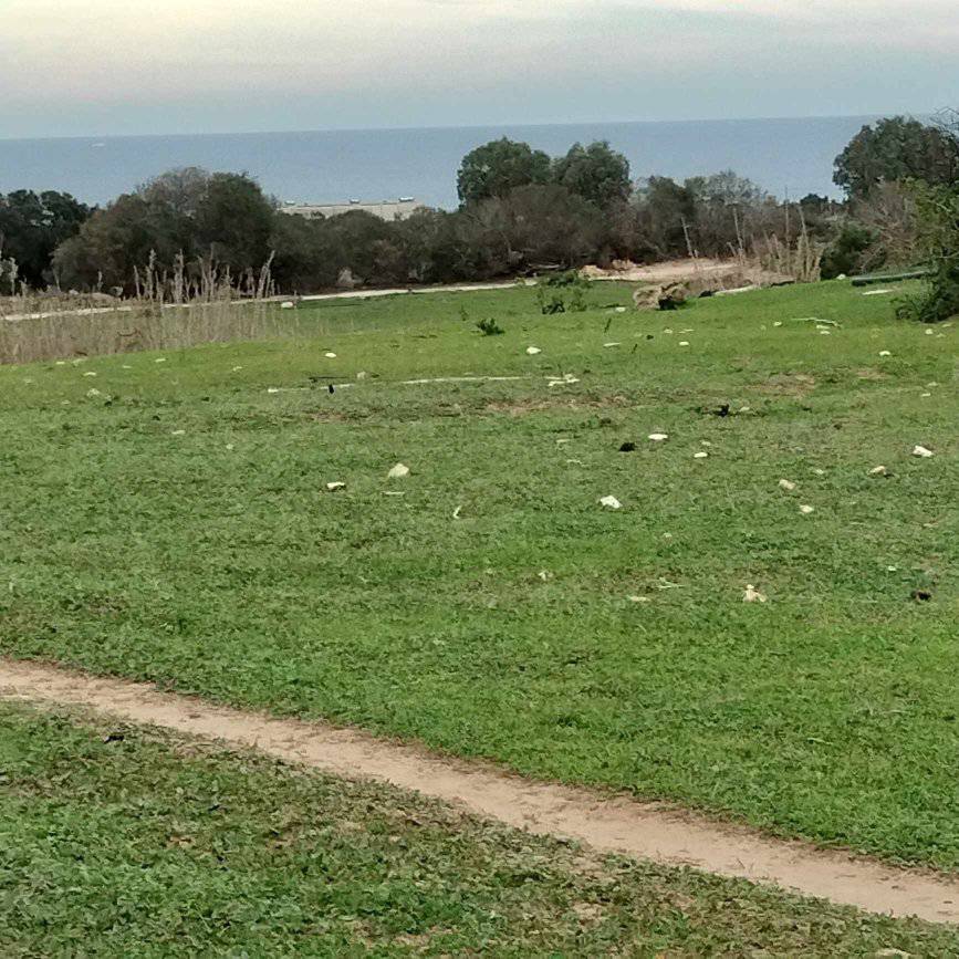 Kelibia Dar Allouche Terrain Terrain agricole Terrain agricole prs de la mer