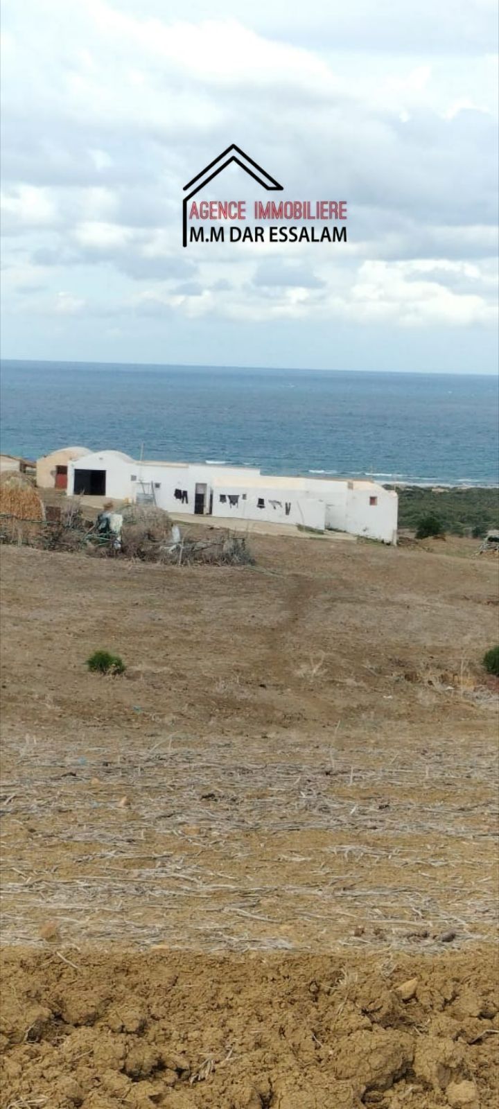 El Haouaria&nbsp;Bir El Jedey&nbsp;Terrain&nbsp;Terrain agricole&nbsp;Terrain pr�s d'el haouaria