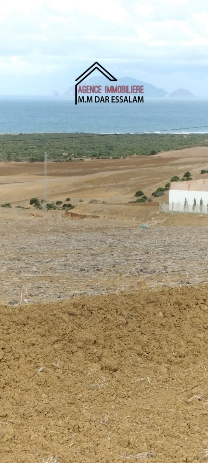 El Haouaria&nbsp;Bir El Jedey&nbsp;Terrain&nbsp;Terrain agricole&nbsp;Terrain pr�s d'el haouaria