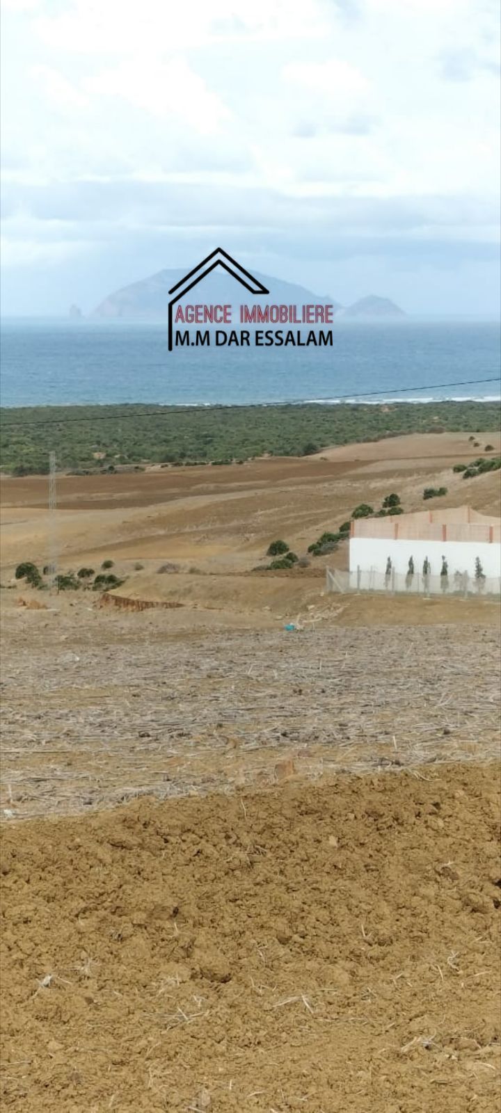 El Haouaria&nbsp;Bir El Jedey&nbsp;Terrain&nbsp;Terrain agricole&nbsp;Terrain pr�s d'el haouaria