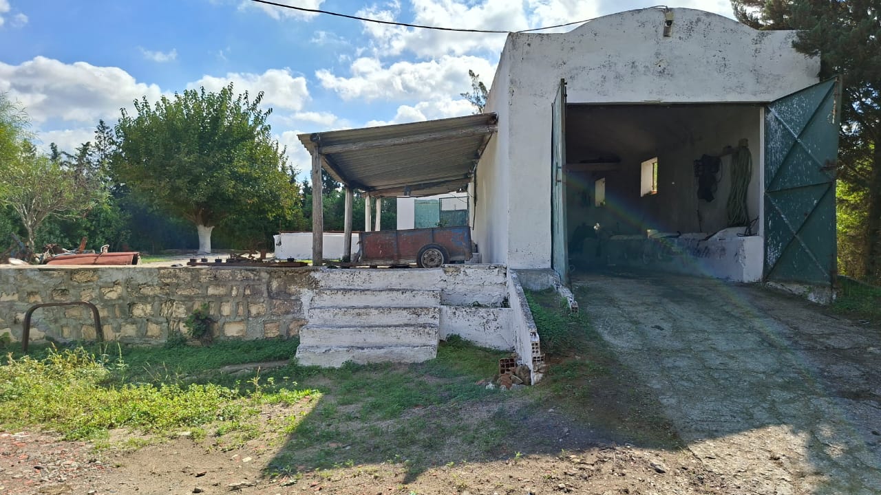 Menzel Bouzelfa Menzel Bouzelfa Vente Autre Senia agrumes de 6 hectares  menzel bouzelfa