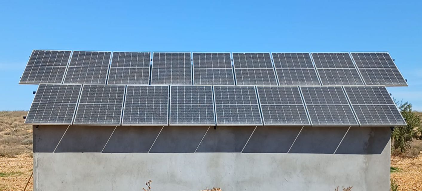 Menzel Chaker&nbsp;Menzel Hedi Chaker&nbsp;Terrain&nbsp;Terrain agricole&nbsp;Oliveraie de prestige titre foncier individuel