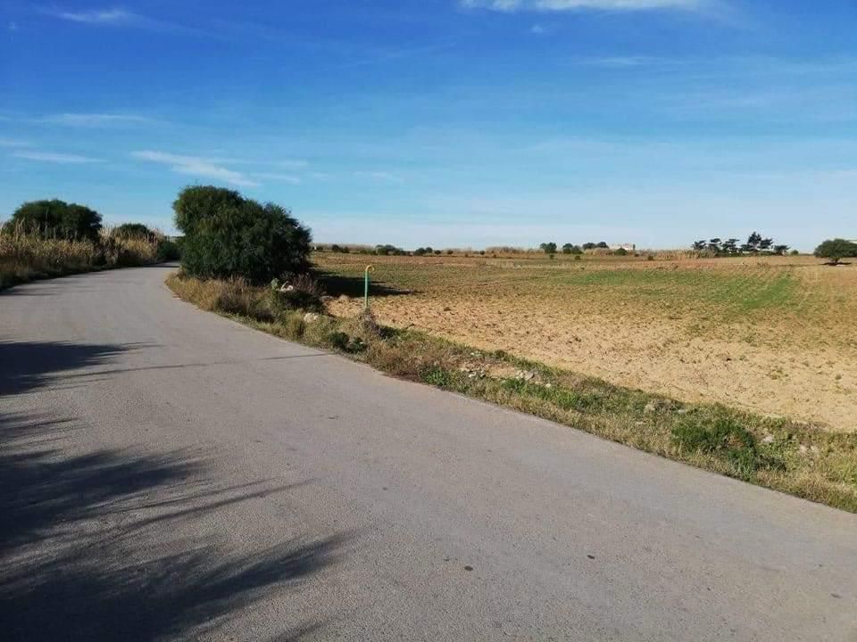 El Haouaria&nbsp;El Haouaria&nbsp;Terrain&nbsp;Terrain agricole&nbsp;Terrain a haouria 300 m2 a 42500 dt