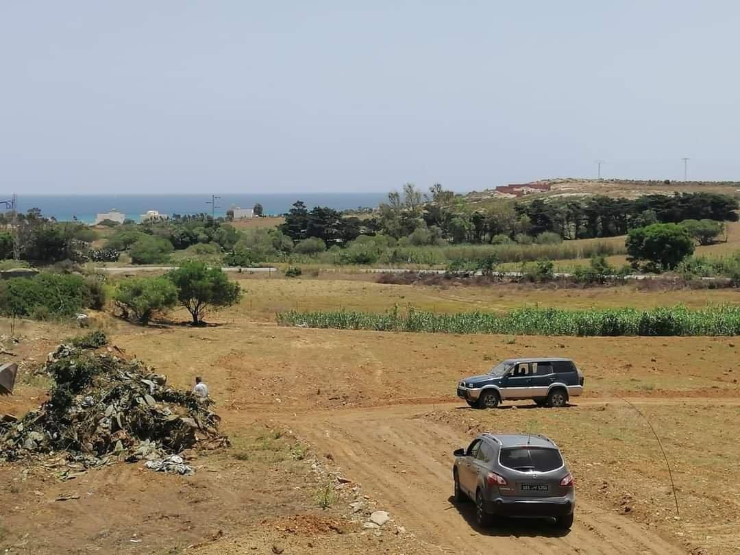 El Haouaria&nbsp;El Haouaria&nbsp;Terrain&nbsp;Terrain agricole&nbsp;Terrain a haouria 300 m2 a 42500 dt