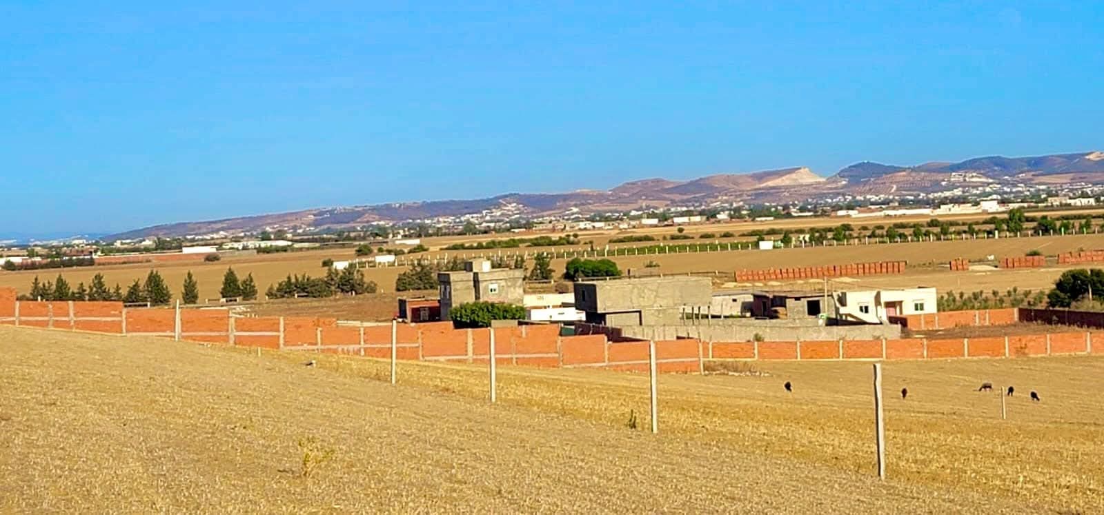 Sidi Thabet&nbsp;Sidi Thabet&nbsp;Terrain&nbsp;Terrain nu&nbsp;Terrain 445 m2 a  111 250 dt