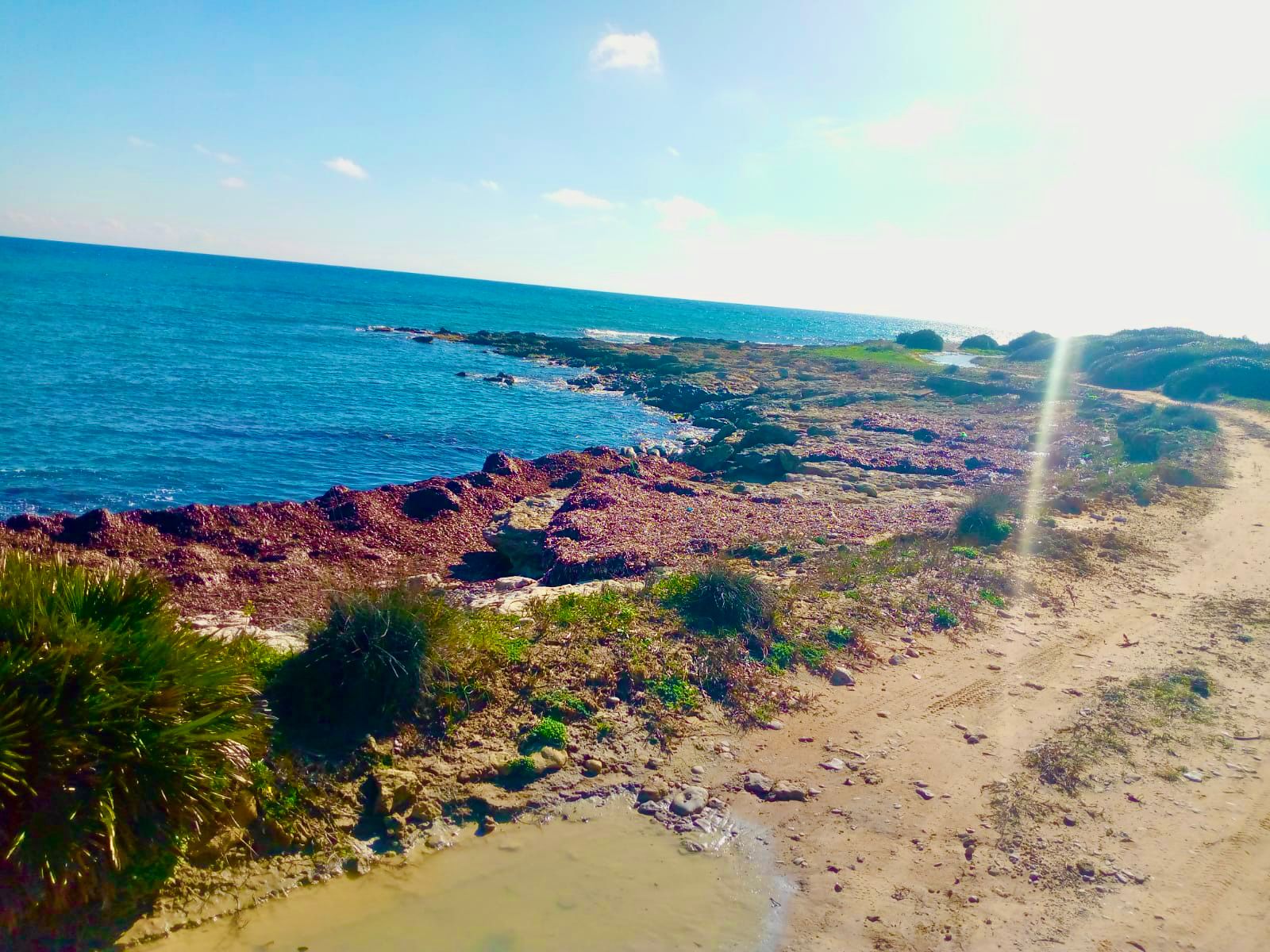 Kelibia&nbsp;Kerkouane&nbsp;Terrain&nbsp;Terrain nu&nbsp;Terrain a kerkouane eau et�ctricit�  disponible