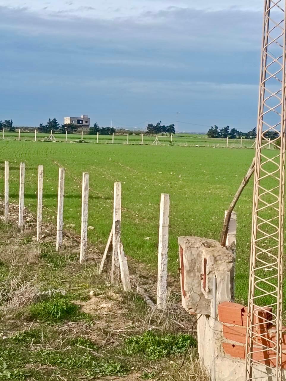 Kelibia&nbsp;Kelibia&nbsp;Terrain&nbsp;Terrain nu&nbsp;Terrain kelibia avec offre sp�cial