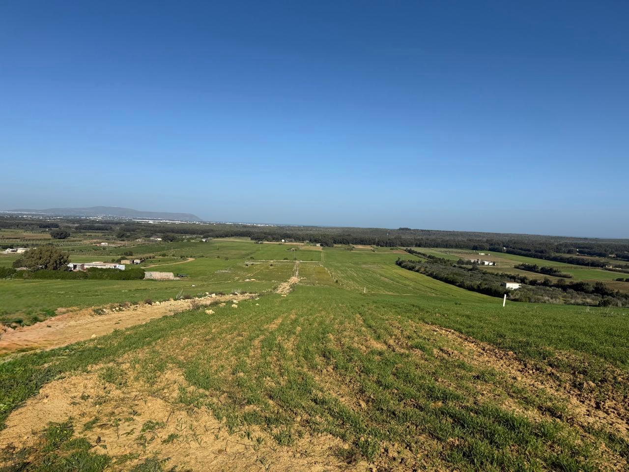 Kelibia&nbsp;Azmour&nbsp;Terrain&nbsp;Terrain nu&nbsp;Offre special a azmour