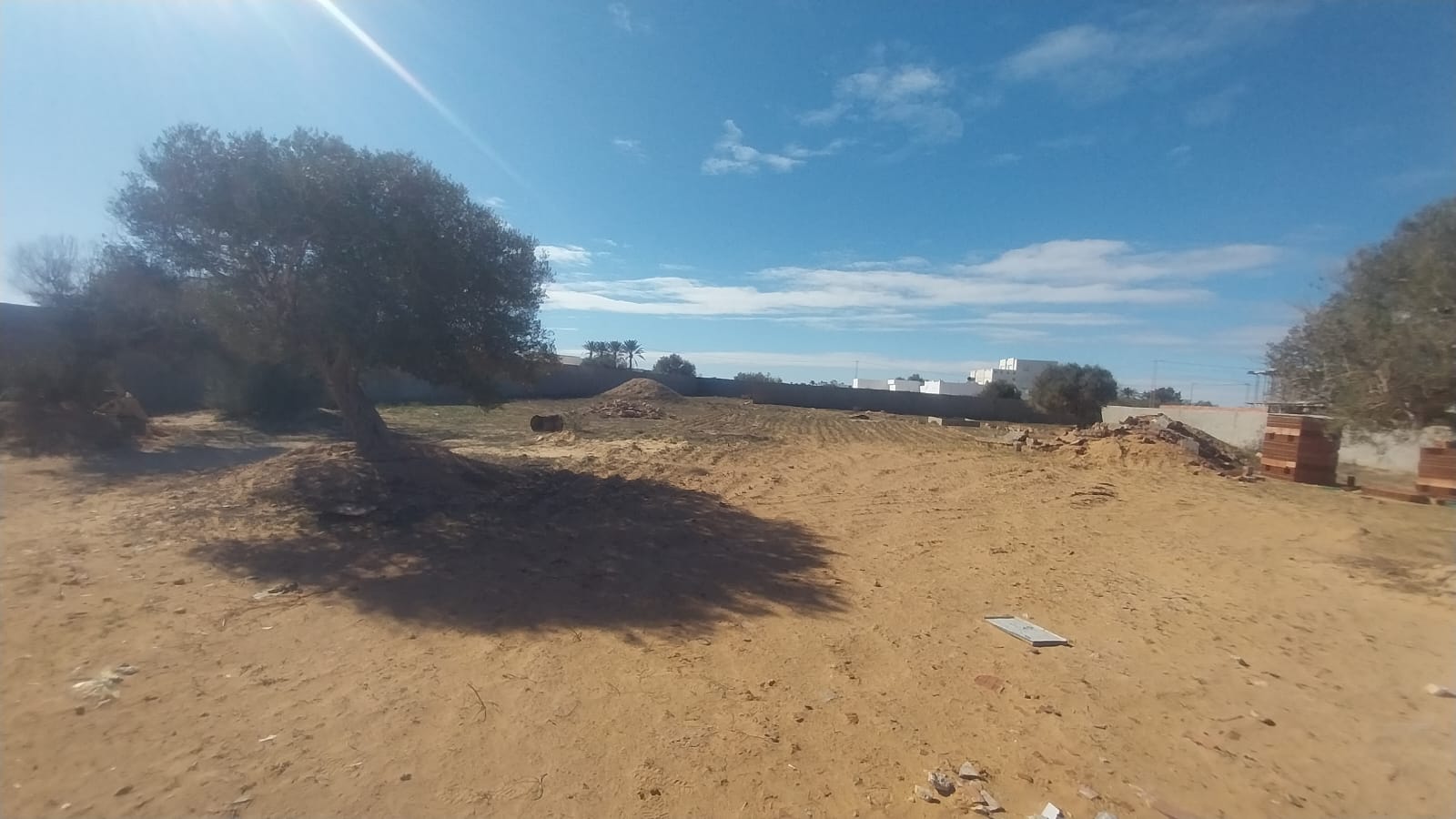 Djerba - Midoun&nbsp;Arkou&nbsp;Terrain&nbsp;Terrain agricole&nbsp;Terrain � arkou