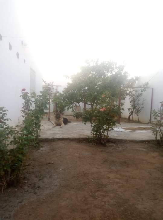 Raoued&nbsp;Raoued&nbsp;Vente&nbsp;Maisons&nbsp;Raoued sidi amor vnt villa ref 2605