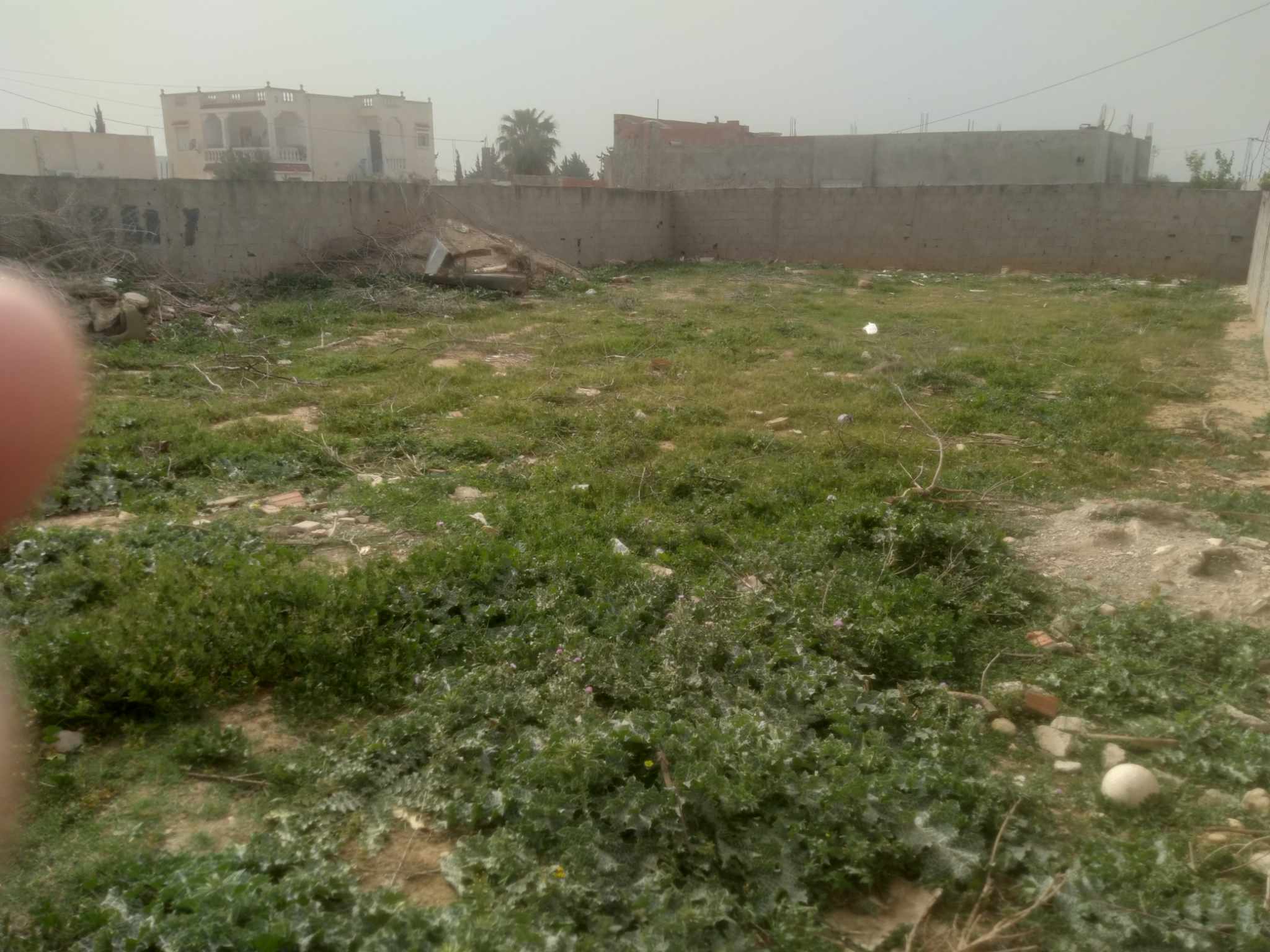 Raoued&nbsp;Borj Touil&nbsp;Terrain&nbsp;Terrain nu&nbsp;Bonne occasion