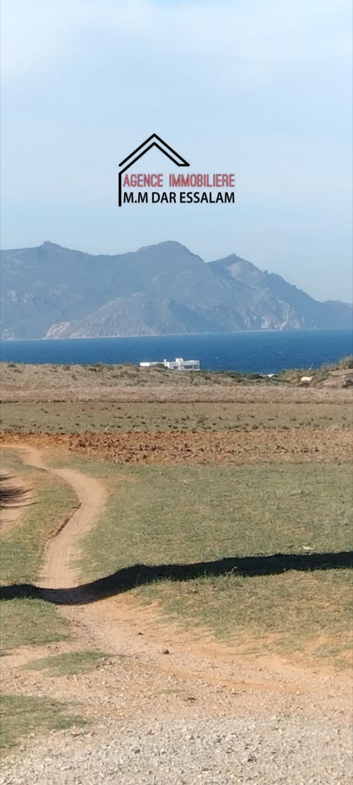 El Haouaria&nbsp;El Haouaria&nbsp;Terrain&nbsp;Terrain agricole&nbsp;Hectare pr�s de la mer