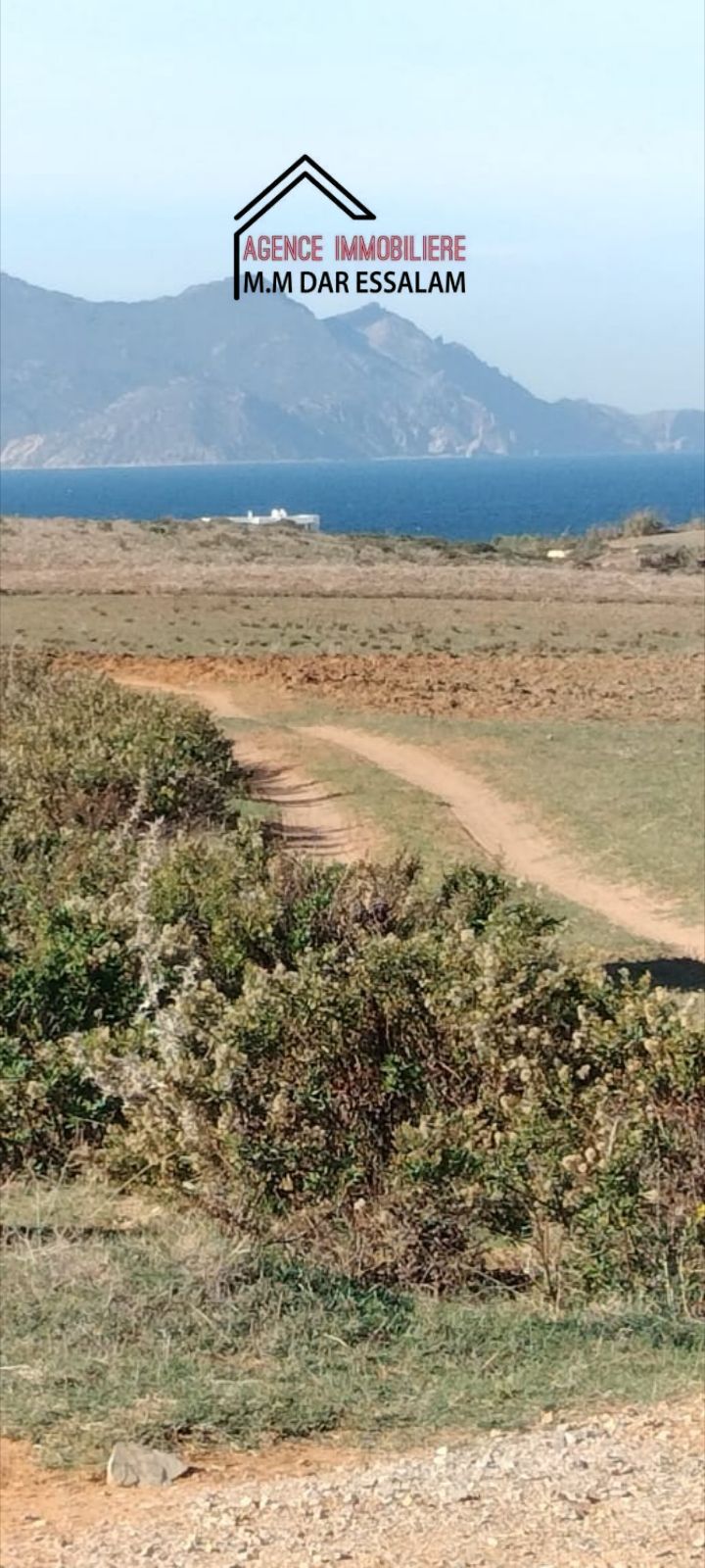 El Haouaria&nbsp;El Haouaria&nbsp;Terrain&nbsp;Terrain agricole&nbsp;Hectare pr�s de la mer