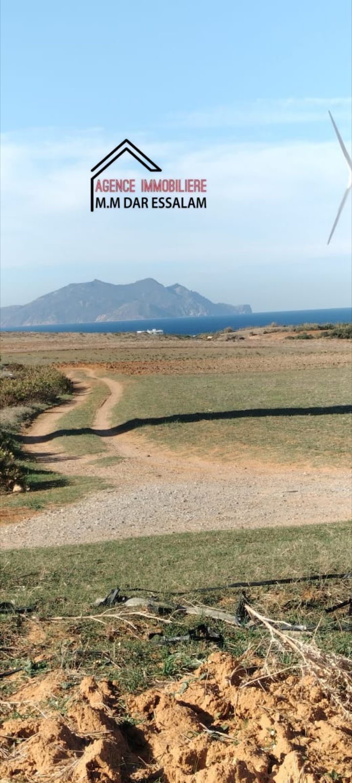 El Haouaria&nbsp;El Haouaria&nbsp;Terrain&nbsp;Terrain agricole&nbsp;Hectare pr�s de la mer