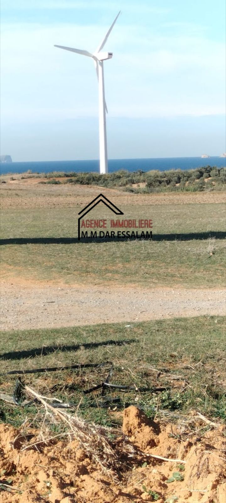 El Haouaria&nbsp;El Haouaria&nbsp;Terrain&nbsp;Terrain agricole&nbsp;Hectare pr�s de la mer