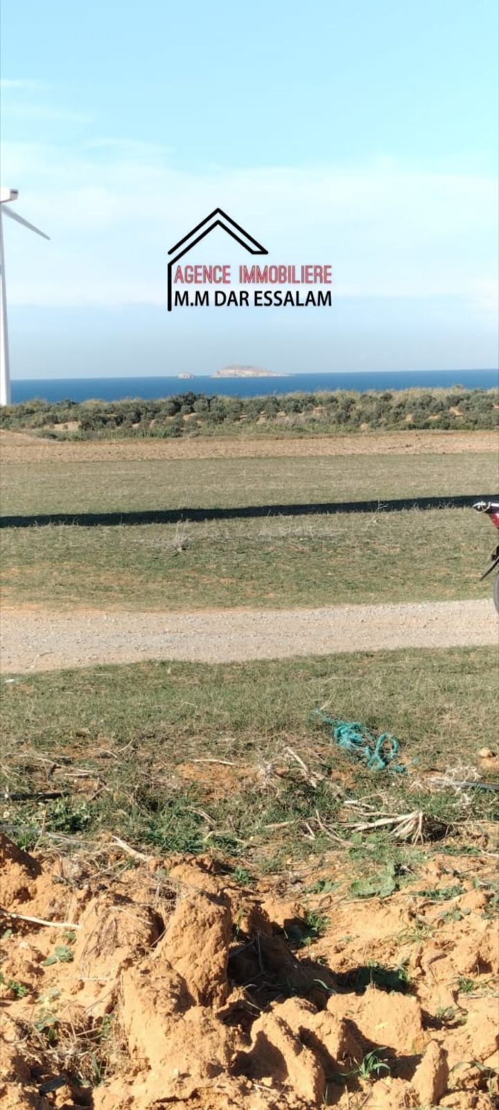 El Haouaria&nbsp;El Haouaria&nbsp;Terrain&nbsp;Terrain agricole&nbsp;Hectare pr�s de la mer