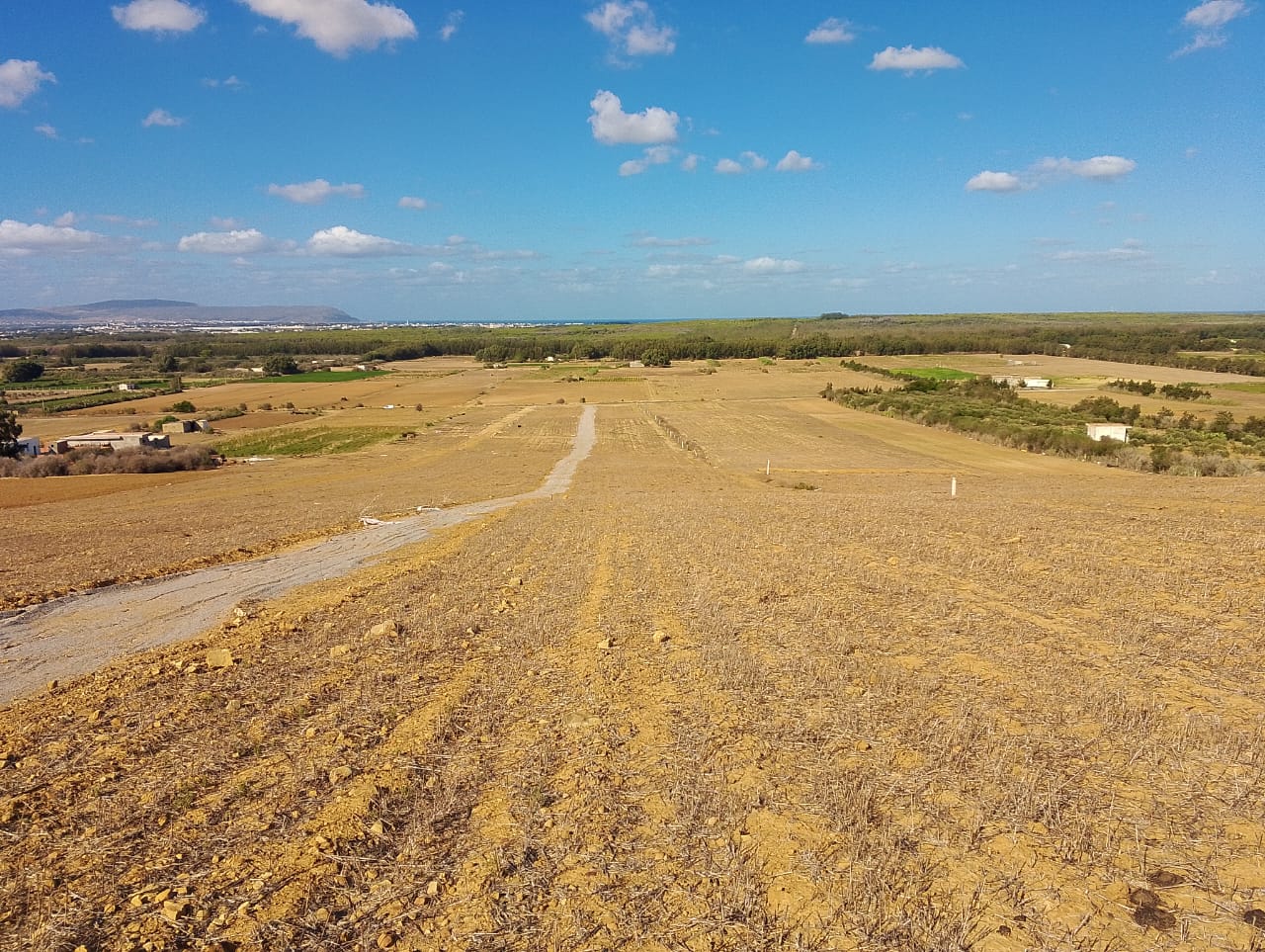 Kelibia&nbsp;Azmour&nbsp;Terrain&nbsp;Terrain agricole&nbsp;Terain 100 m2 a 9900