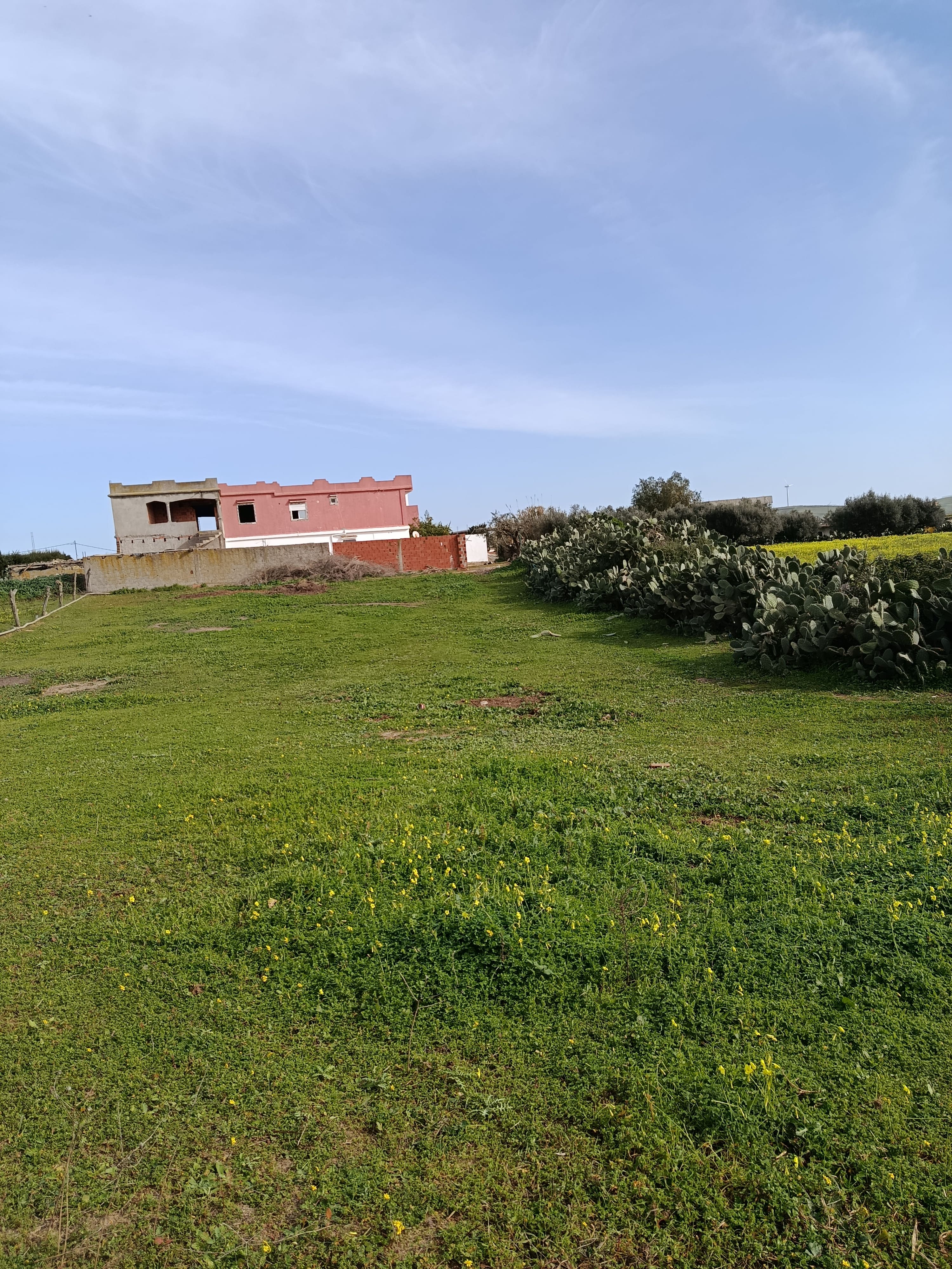 Ras Jebel&nbsp;El Garia Ras Jebal&nbsp;Terrain&nbsp;Terrain nu&nbsp;Terrain de construction