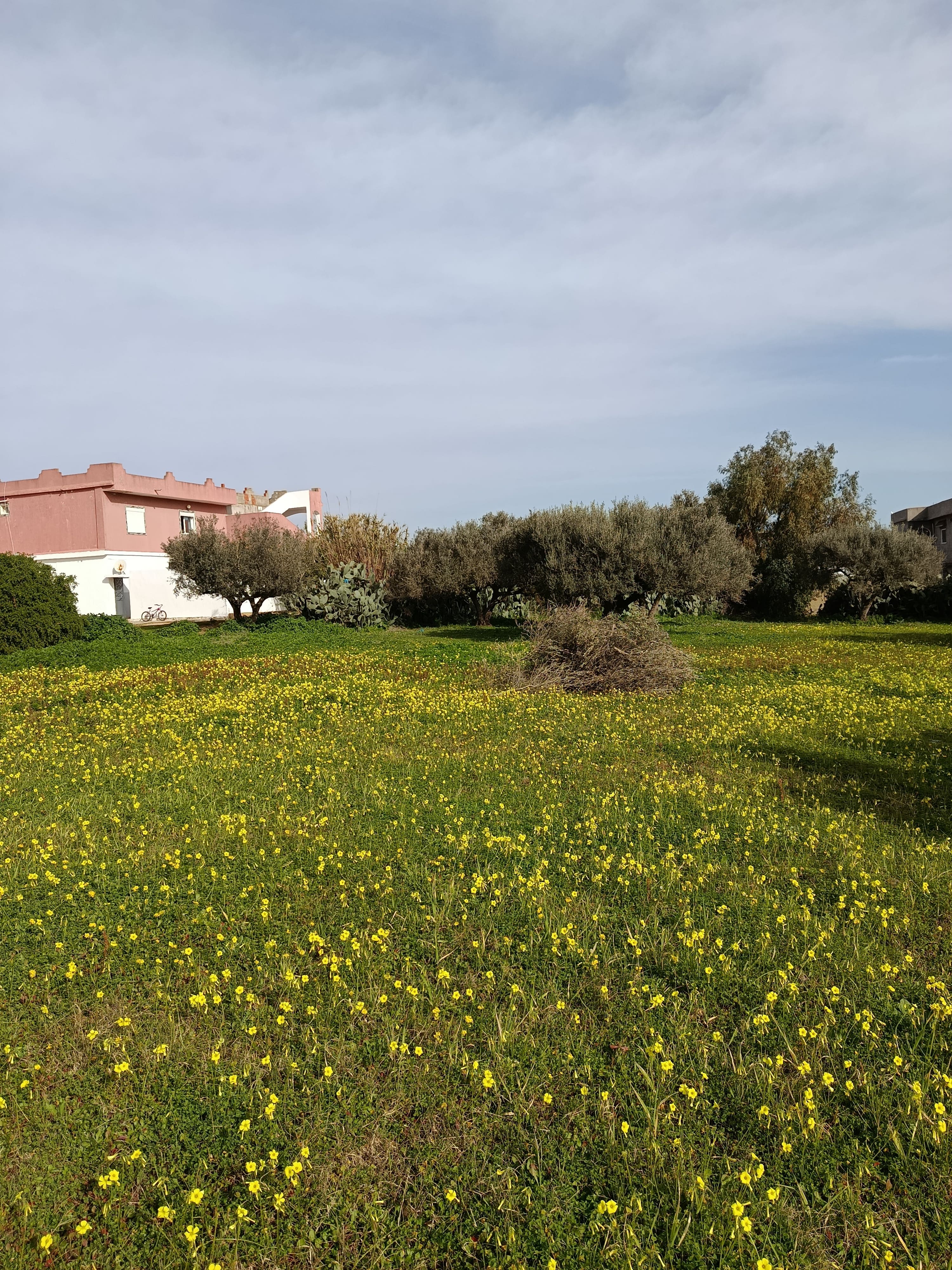 Ras Jebel&nbsp;El Garia Ras Jebal&nbsp;Terrain&nbsp;Terrain nu&nbsp;Terrain de construction