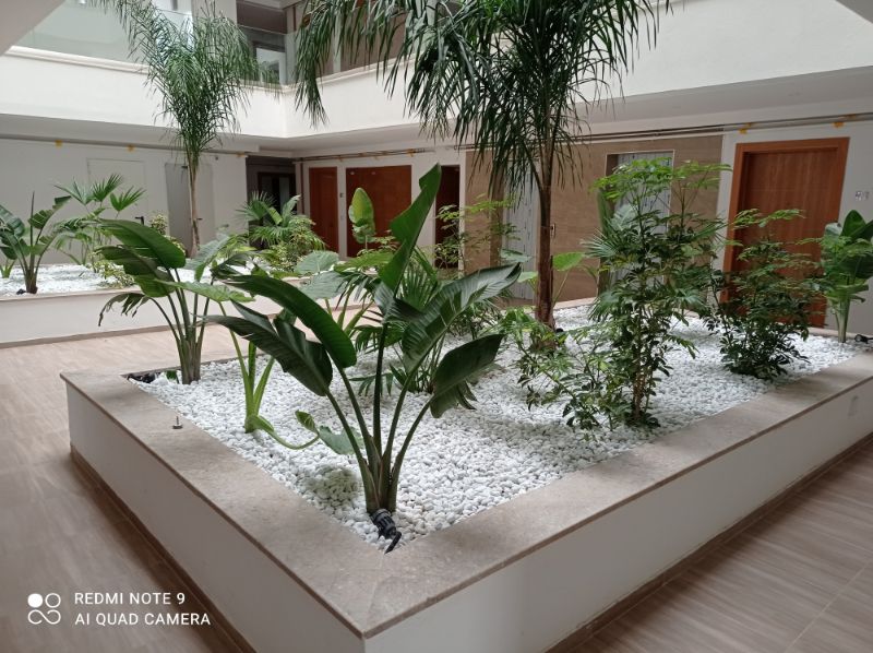 Ariana Ville&nbsp;Cite Ennasr 2&nbsp;Location&nbsp;Appart. 1 pi�ce&nbsp;Ennasr 2  s 1 meubl� avec place parking et jardin