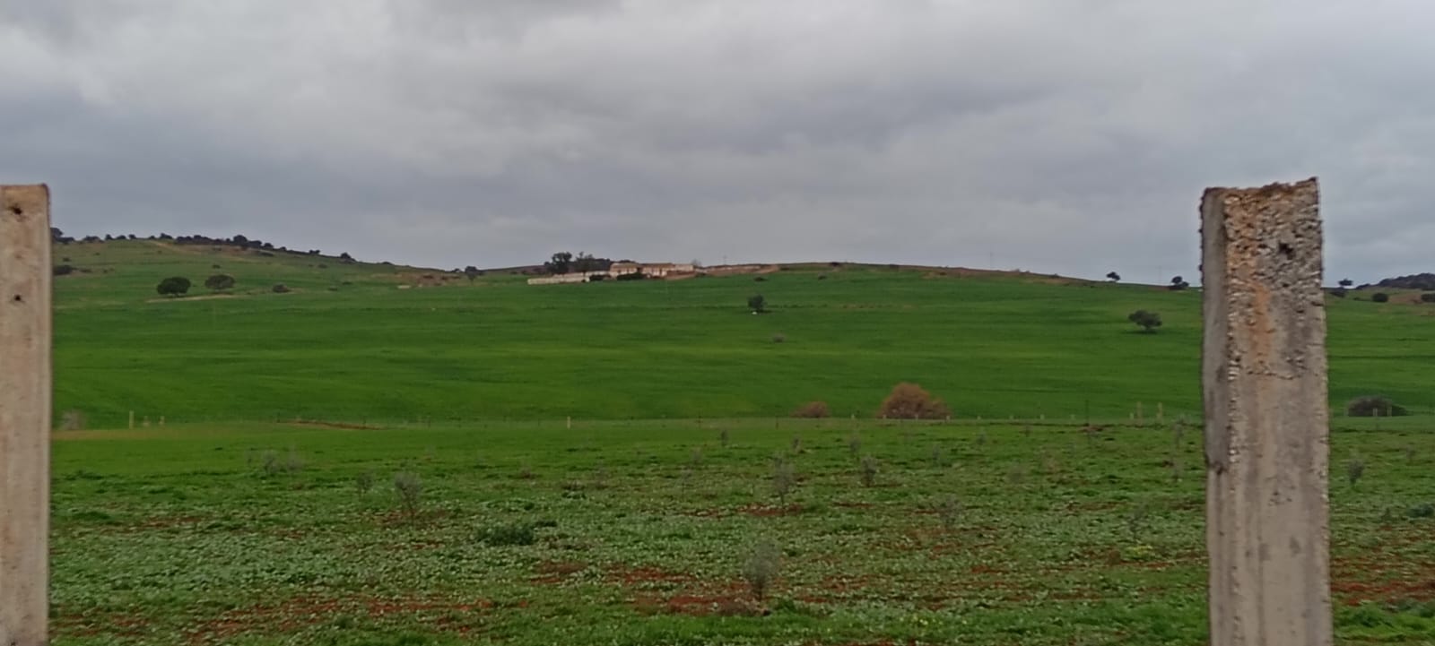 Testour&nbsp;Testour&nbsp;Terrain&nbsp;Terrain agricole&nbsp;Agricole testour