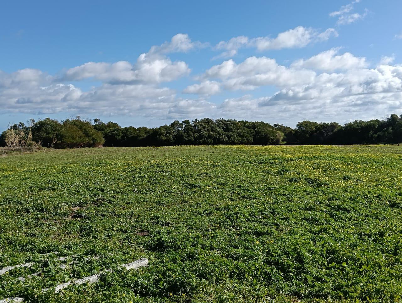 Hammam El Ghezaz&nbsp;Ezzahra&nbsp;Terrain&nbsp;Terrain agricole&nbsp;Terrain 1�re position � prix sacrifi�