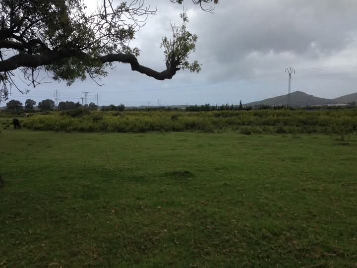 Tabarka&nbsp;Tabarka&nbsp;Terrain&nbsp;Terrain agricole&nbsp;Terrain agricole tabarka