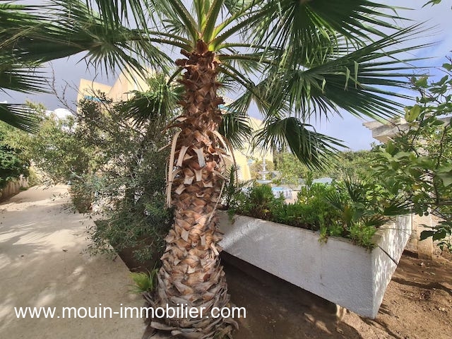 Hammamet&nbsp;Hammamet&nbsp;Vente&nbsp;Maisons&nbsp;Villa lima av1751 hammamet nord