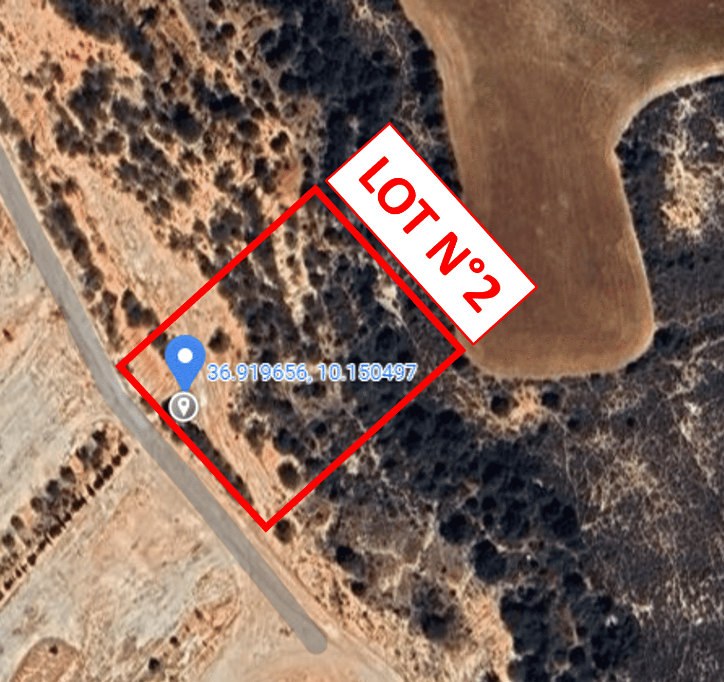 Raoued&nbsp;Borj Touil&nbsp;Terrain&nbsp;Terrain agricole&nbsp;Opportunit� d'investissement exceptionnelle