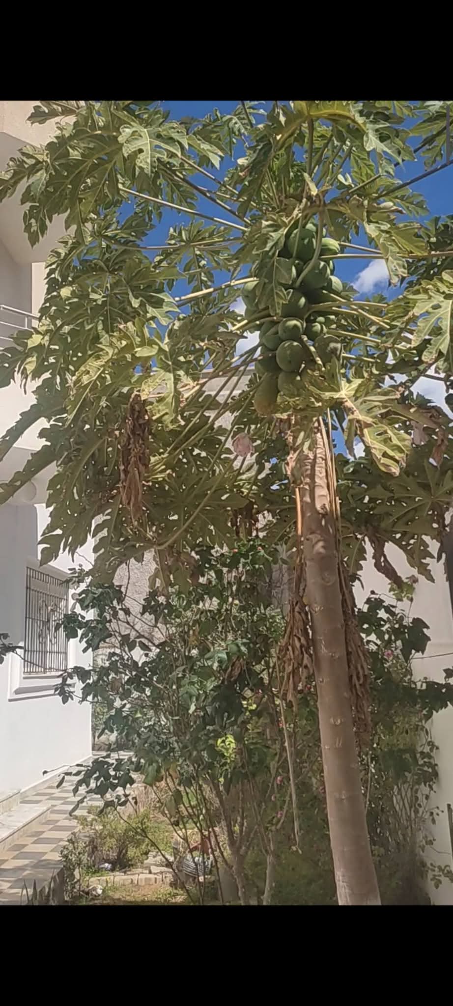 Location vacances&nbsp;Maisons - Tunisie