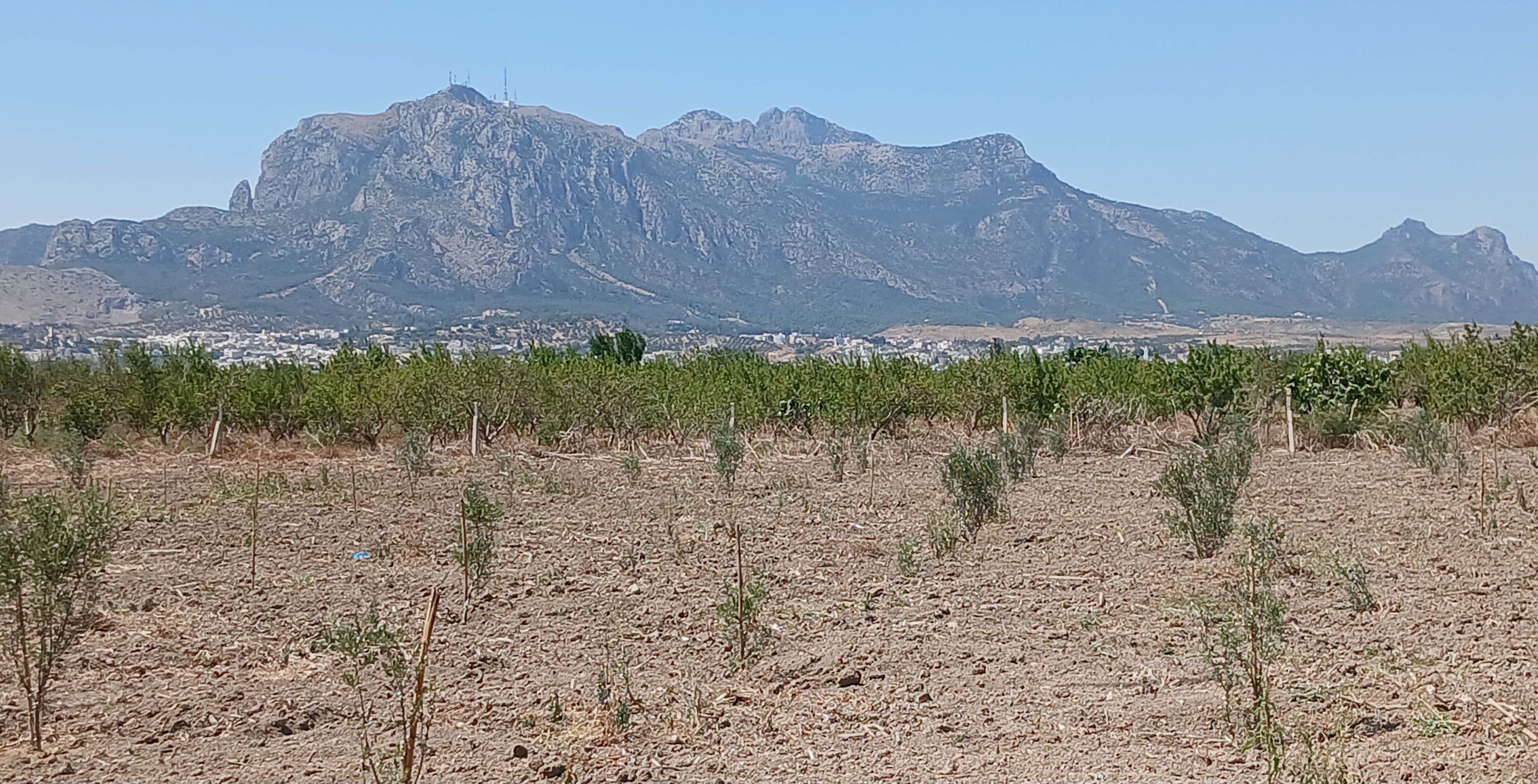 Zaghouan&nbsp;Jimla&nbsp;Terrain&nbsp;Terrain agricole&nbsp;Terrain agricole 5000 m avec une petite maison