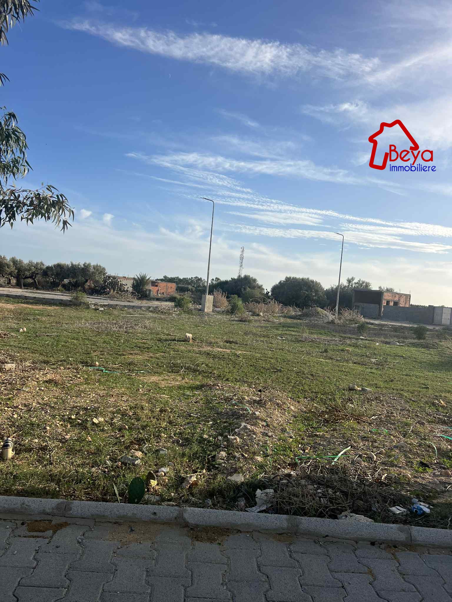 Korba&nbsp;Tazarka&nbsp;Terrain&nbsp;Terrain nu&nbsp;Terrain nero vtn006