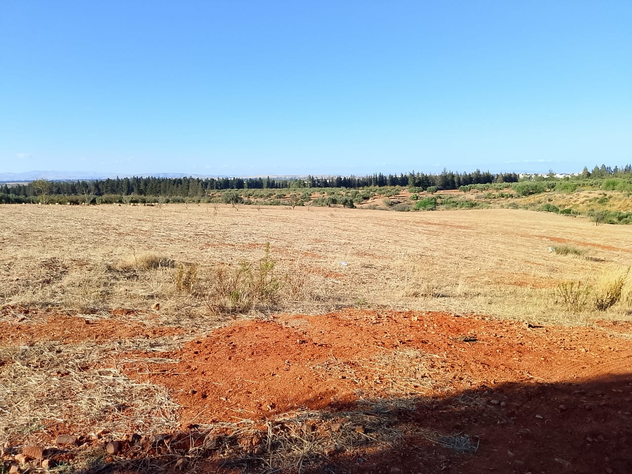 Sidi Thabet&nbsp;Sidi Thabet&nbsp;Terrain&nbsp;Terrain agricole&nbsp;1 hectare � sidi thabet