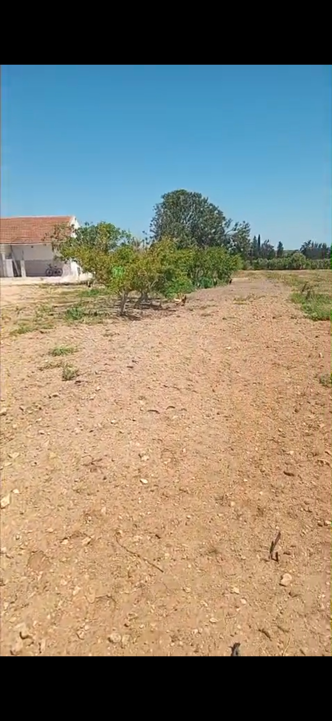 Borj El Amri&nbsp;Borj El Amri&nbsp;Terrain&nbsp;Terrain agricole&nbsp;Terrain agricole � borj el amri avec sondage