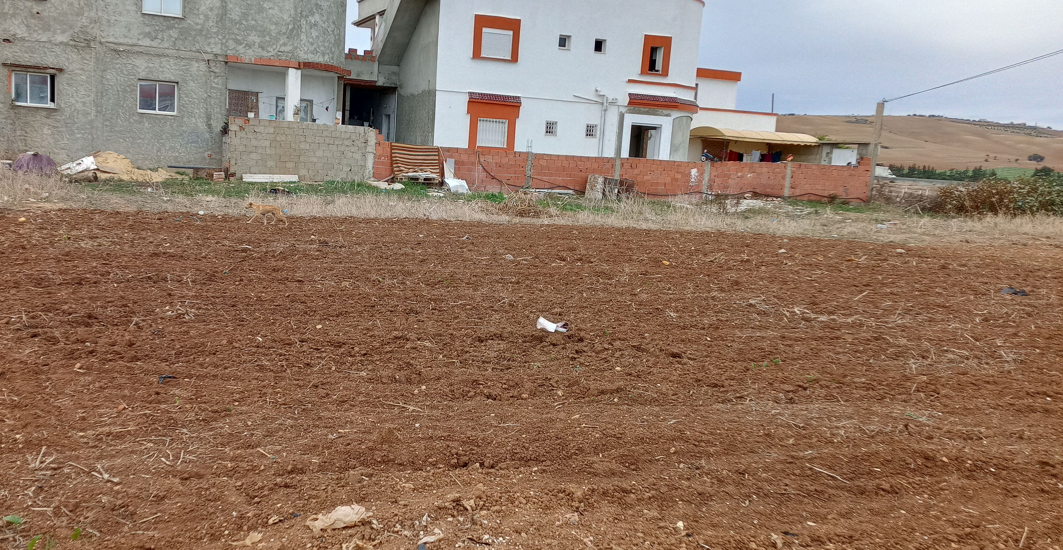 Utique&nbsp;Utique&nbsp;Terrain&nbsp;Terrain nu&nbsp;Offre a ne pas rater