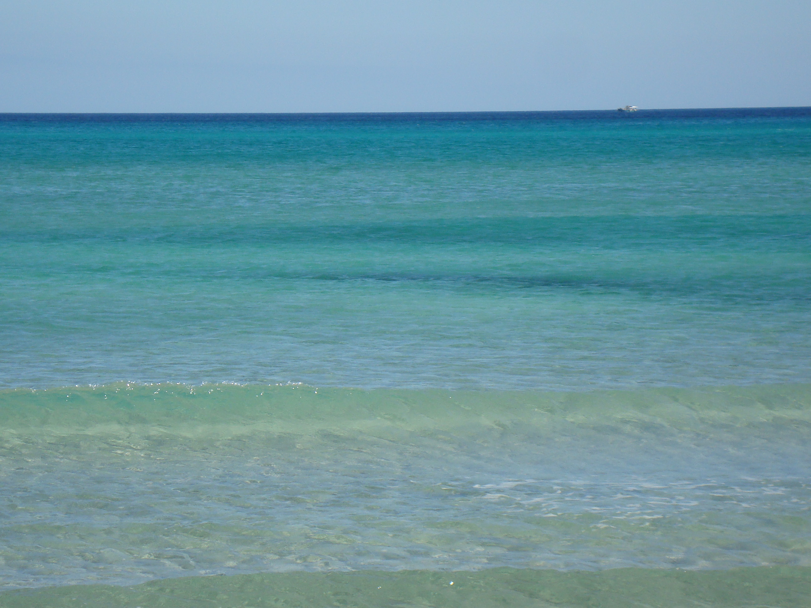 Hammam El Ghezaz&nbsp;Hammam El Ghezaz&nbsp;Terrain&nbsp;Terrain nu&nbsp;Terrain pour investir de 50000 m�tre carr�