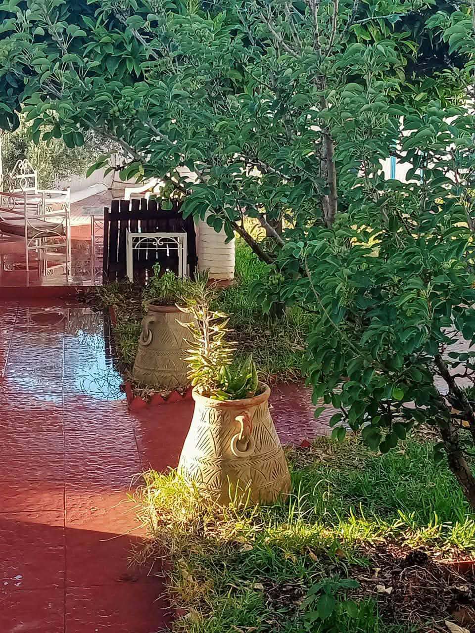 Ras Jebel&nbsp;Rafraf Plage&nbsp;Location vacances&nbsp;Maisons&nbsp;Belle villa style arabe avec grand jardin � rafraf