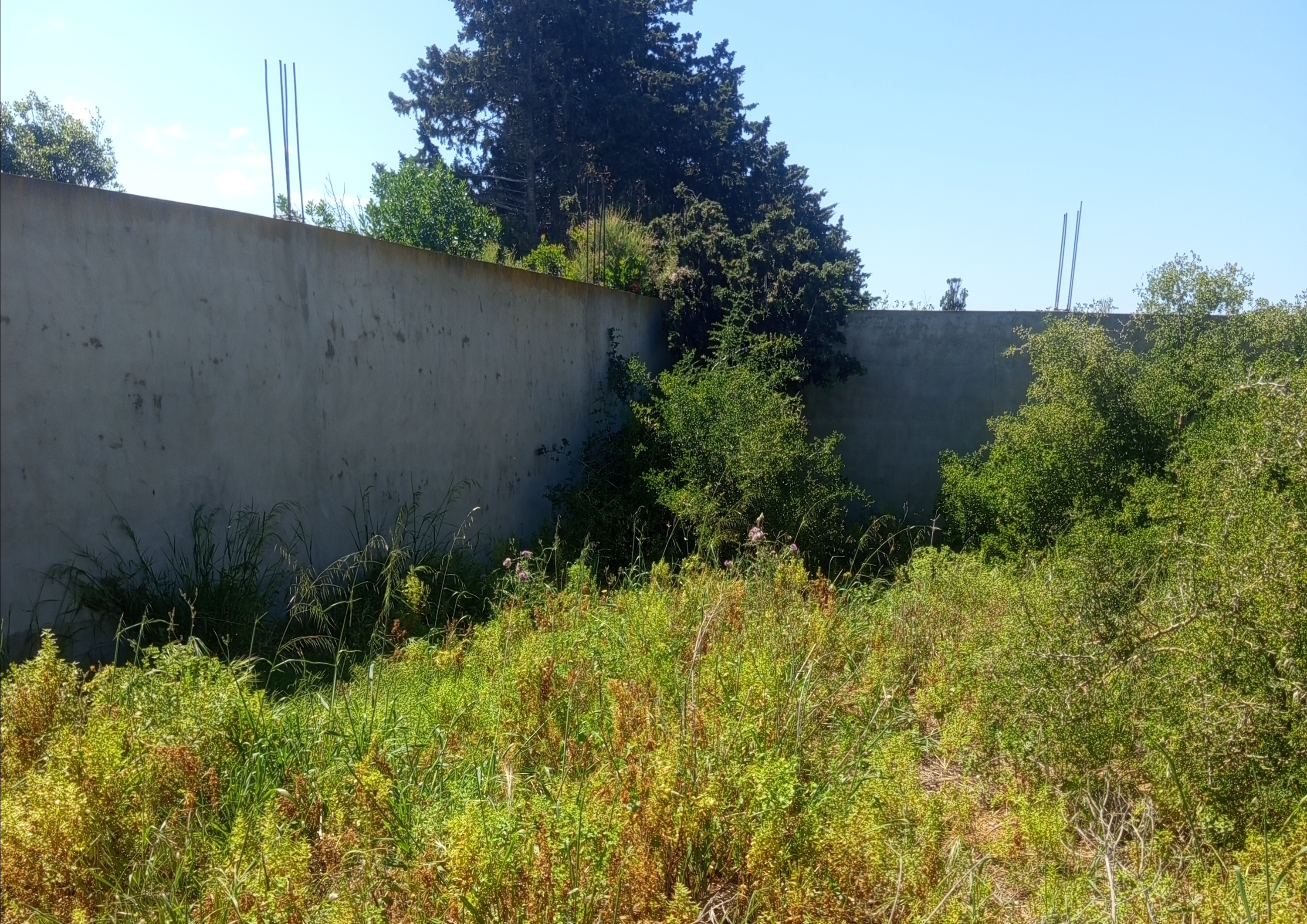 Ras Jebel&nbsp;Ras Jebel&nbsp;Terrain&nbsp;Terrain nu&nbsp;Terrain a ras jebel pr�s de la plage